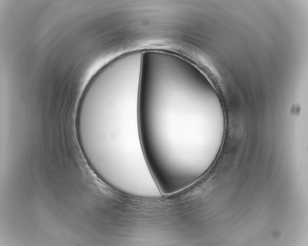 X0000094361328200711021327