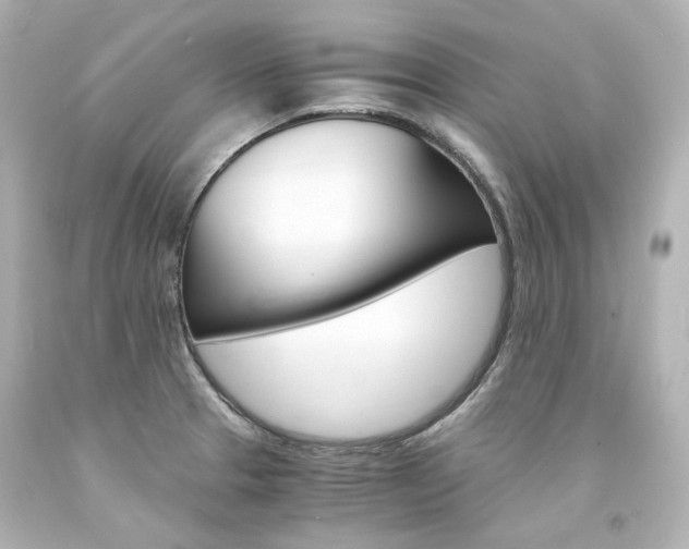 X0000094361329200711021327