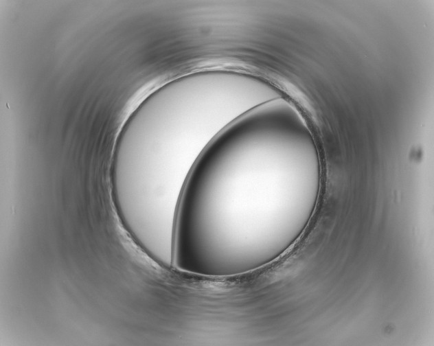 X0000094361330200711021327