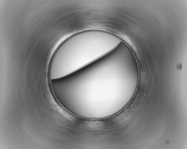 X0000094361331200711021327