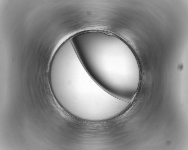 X0000094361332200711021327