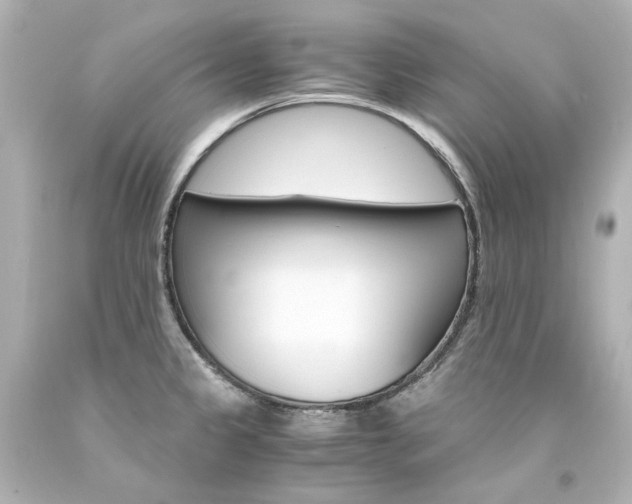 X0000094361333200711021327