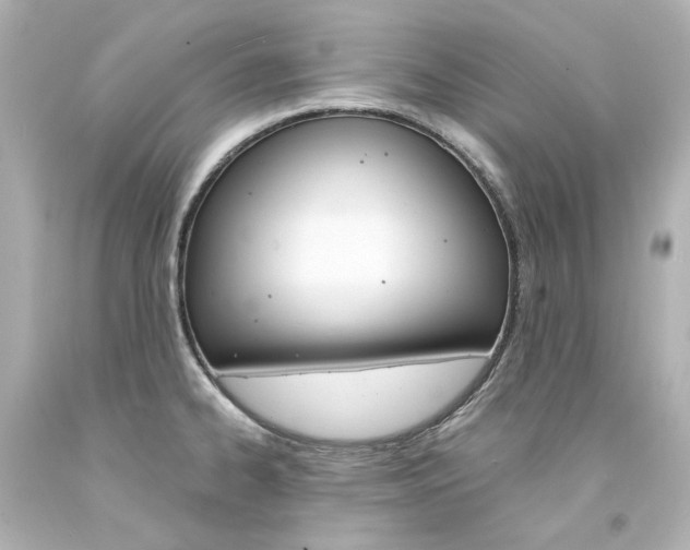 X0000094361334200711021327