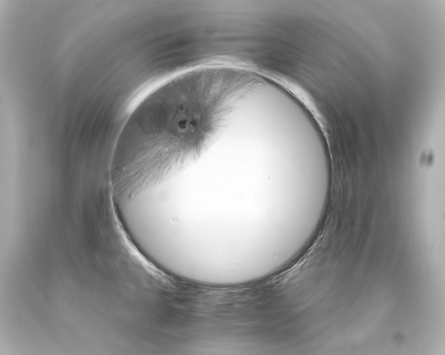 X0000094361335200711021327