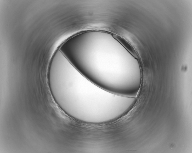 X0000094361336200711021327