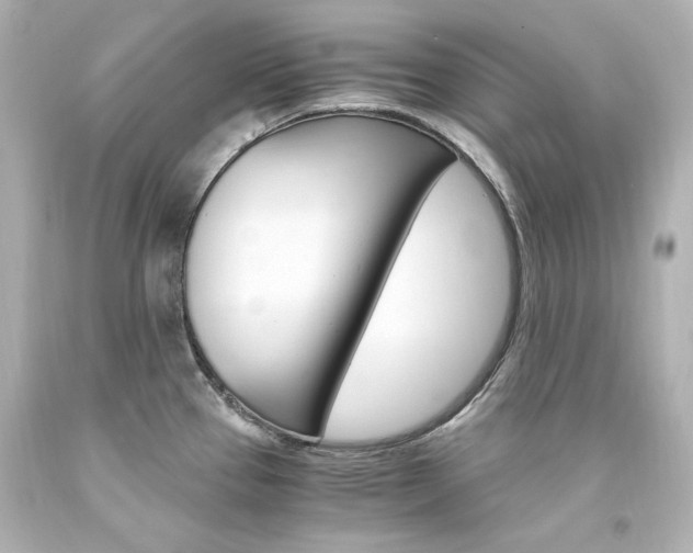 X0000094361337200711021327