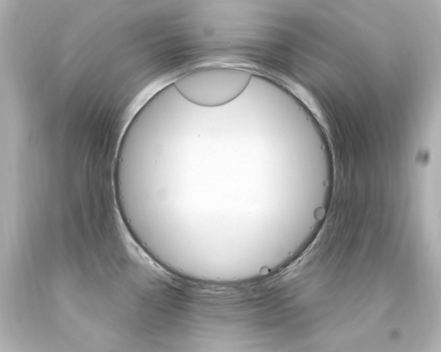 X0000094361338200711021327