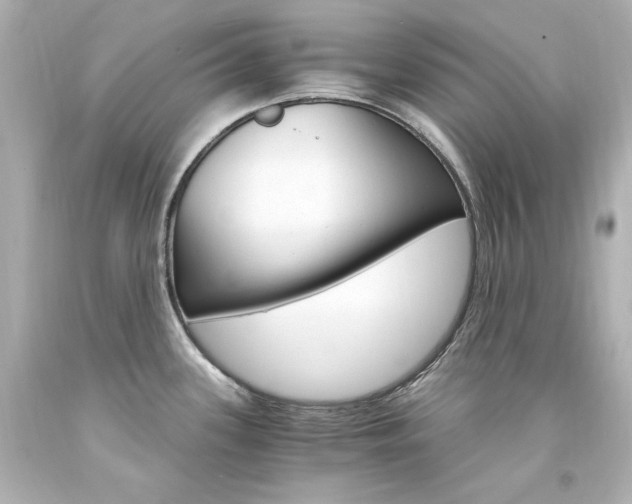 X0000094361339200711021327