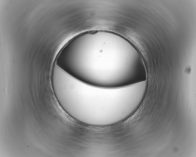X0000094361340200711021327