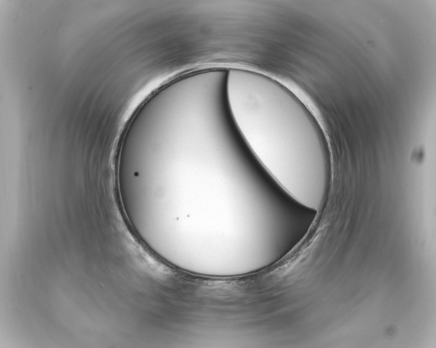 X0000094361341200711021327