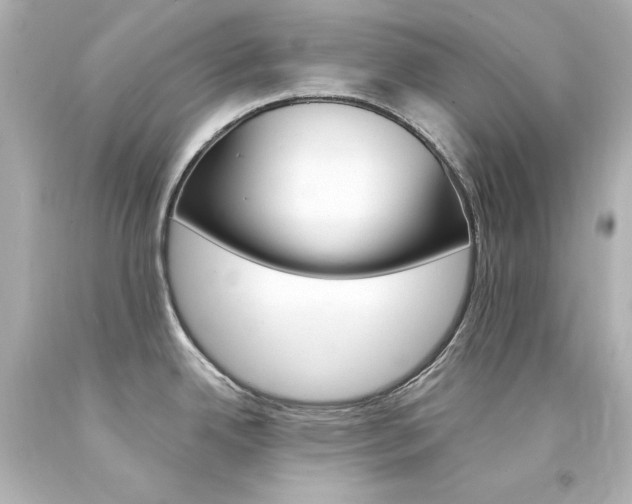 X0000094361342200711021327