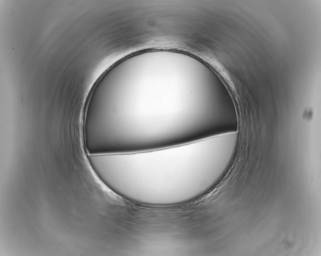 X0000094361343200711021327