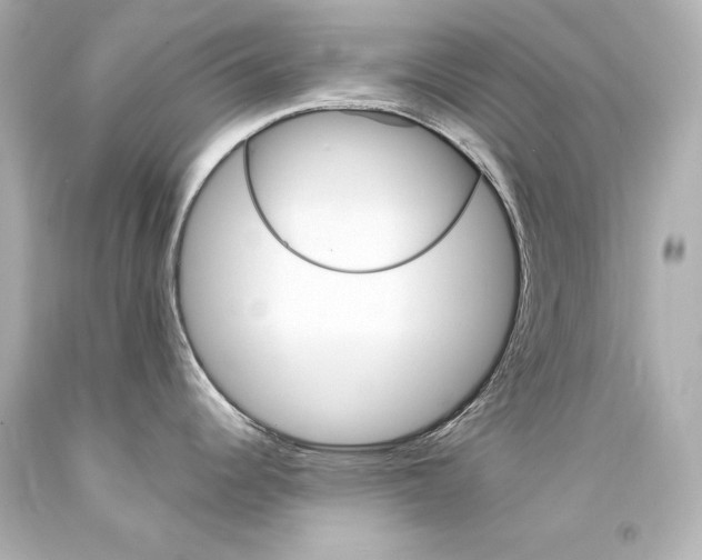 X0000094361344200711021327