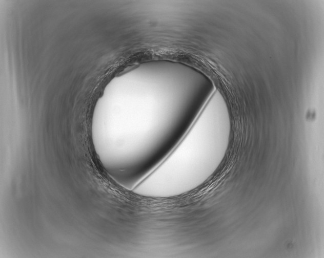 X0000094361345200711021326