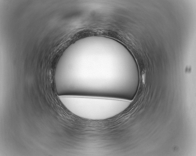 X0000094361347200711021326