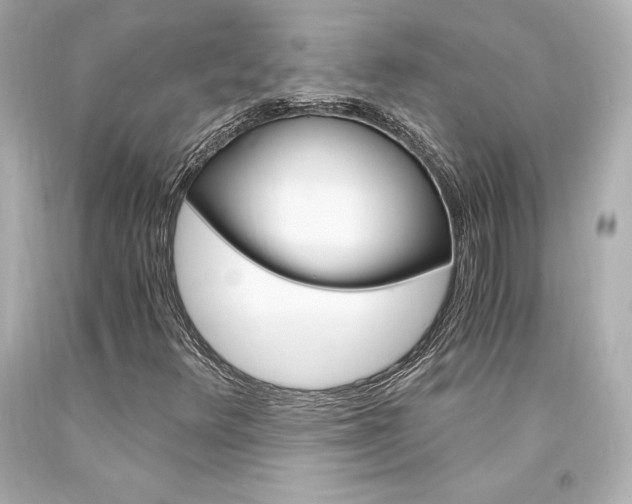 X0000094361348200711021326