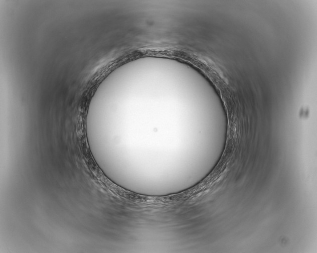 X0000094361350200711021326