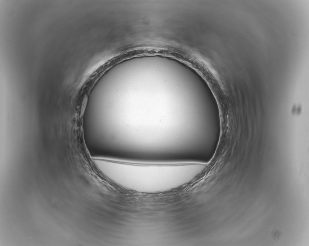 X0000094361352200711021326