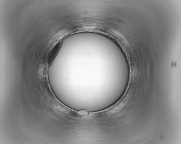 X0000094361353200711021326