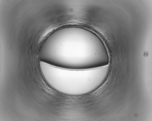 X0000094361355200711021326