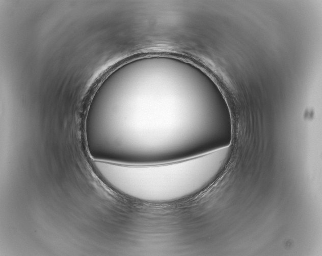 X0000094361356200711021326