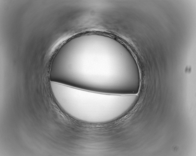 X0000094361359200711021326