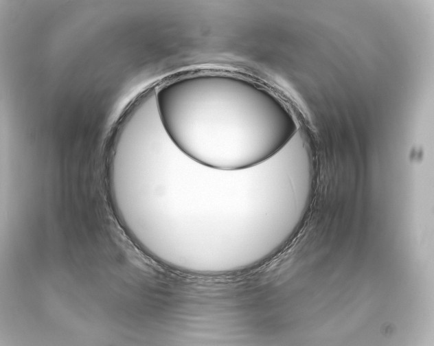 X0000094361360200711021326
