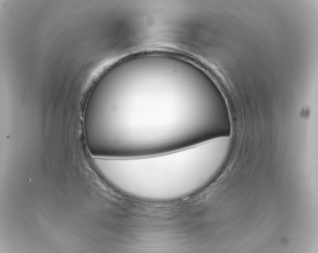 X0000094361363200711021326