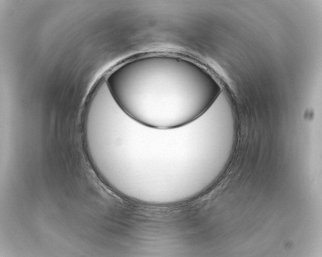 X0000094361364200711021326