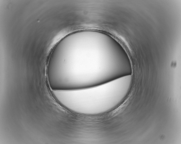 X0000094361365200711021326