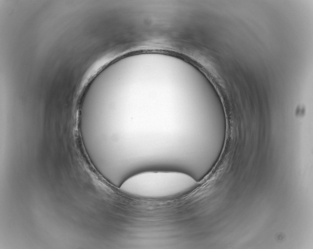X0000094361366200711021326