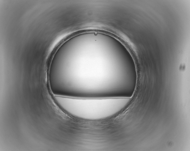 X0000094361368200711021326