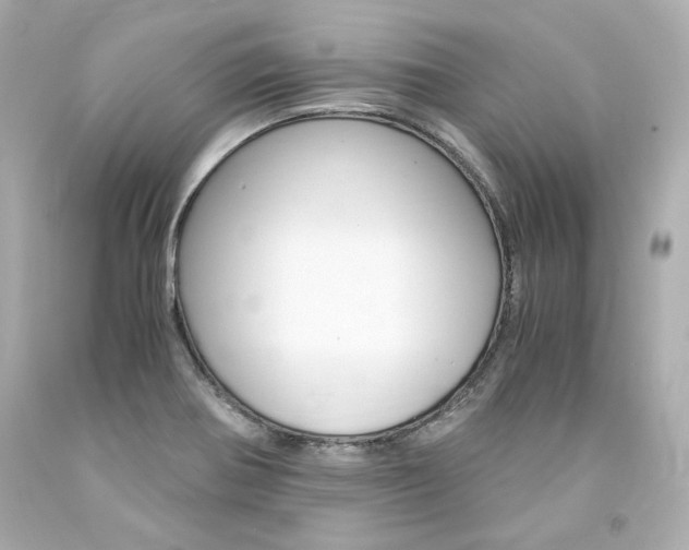 X0000094361370200711021326