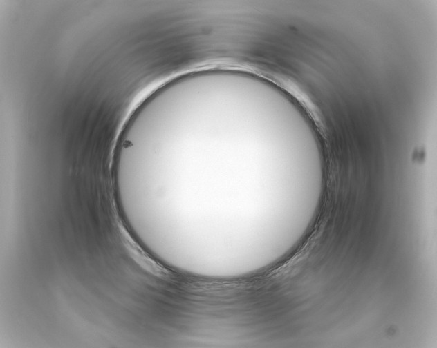 X0000094361372200711021326