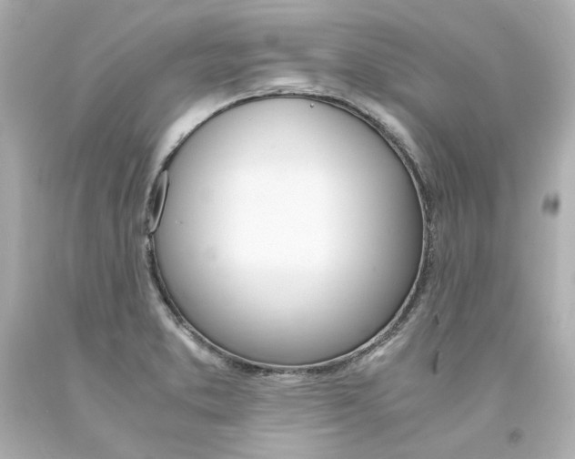 X0000094361373200711021326