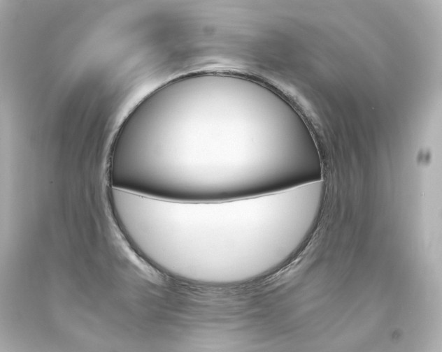 X0000094361375200711021326