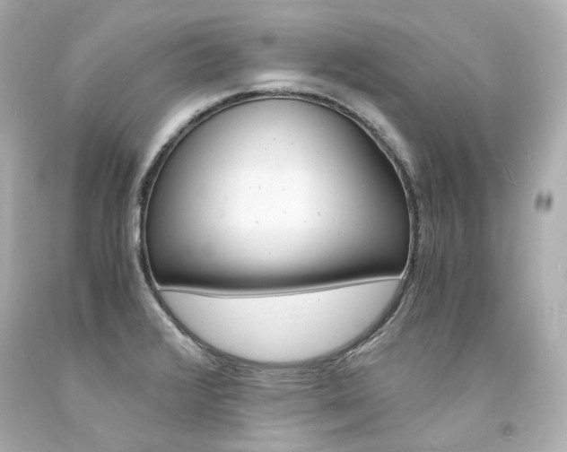 X0000094361376200711021326