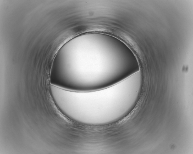 X0000094361377200711021326