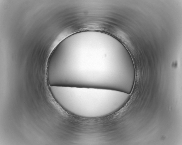 X0000094361378200711021326