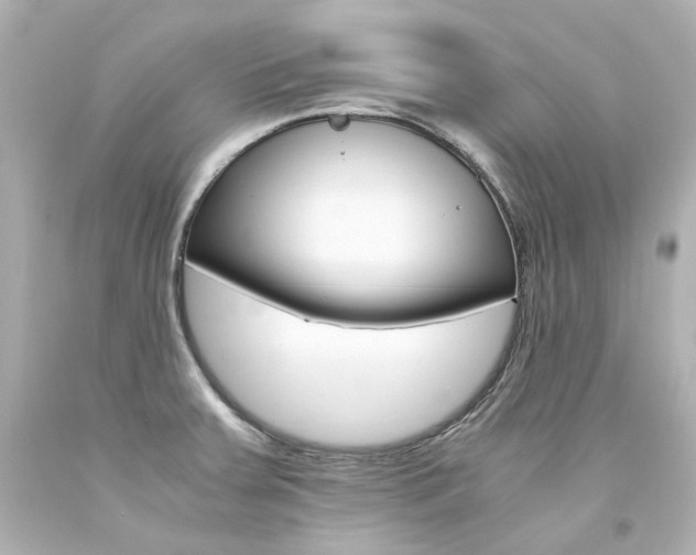 X0000094361379200711021326