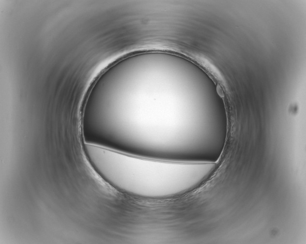 X0000094361380200711021326