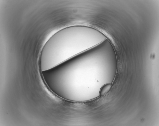 X0000094361383200711021326