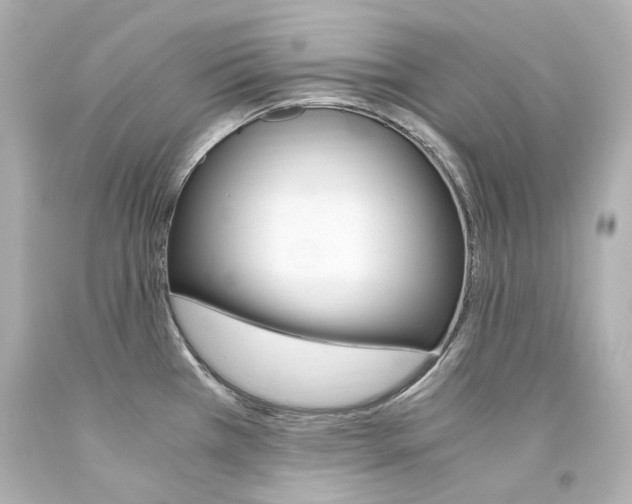 X0000094361385200711021326