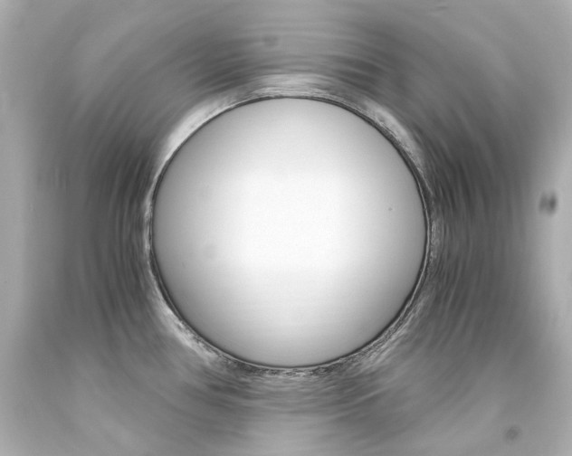 X0000094361386200711021326