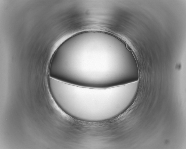 X0000094361387200711021326