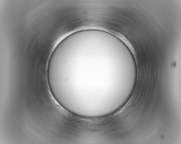 X0000094361388200711021326