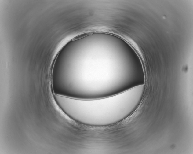 X0000094361389200711021326