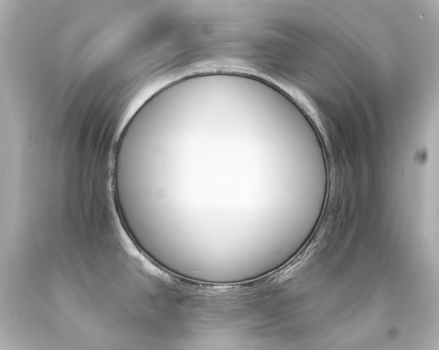X0000094361390200711021326
