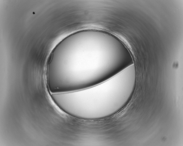 X0000094361391200711021326