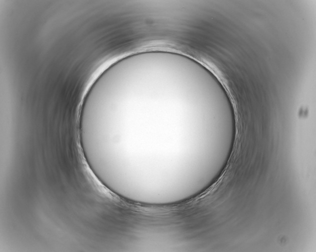 X0000094361392200711021326